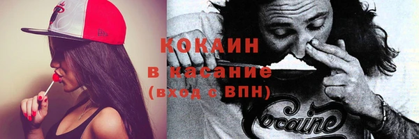 бошки Белокуриха