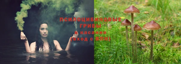 эйфоретик Богородицк